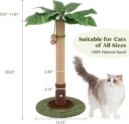 Woochpet Cat Scratching Post for Indoor Cats and Kitten - 35.43" Tall Cat Scratching Post with Sisal Rope,Palm Tree Cat Scratch Post with Hanging Ball (35.4-Green, 35.4in)