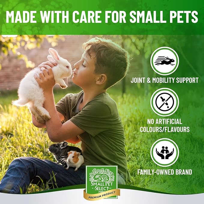 Small Pet Select - Select Care Joint Mobility Support Supplement, Natural High Fiber Timothy Hay Based Treats for Rabbits, Guinea Pigs, Hamsters, Other Small Animals, 4.2 oz
