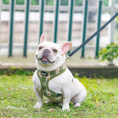 PUPTECK Soft Mesh Dog Harness and Leash Set Pet Puppy Cat Comfort Padded Vest No Pull Harnesses, Olive Green, XS