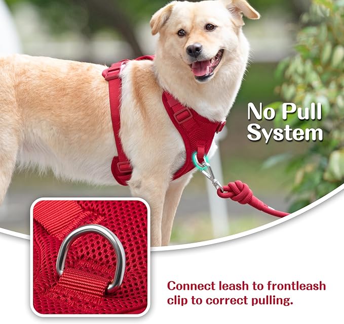 No Pull Dog Harness for Small Medium Large Dogs - Adjustable 2 Layer Mesh Dog Vest with Dual Clip, Escape Proof, Quick Release, Lightweight Breathable Mesh for Walking Hiking (Burgundy Red,XS)