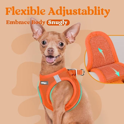 rabbitgoo Small Dog Harness, Step-in Soft Mesh Puppy Vest with Safety Buckle, Breathable Reflective Pet Harness for Small Sized Dogs, Orange S