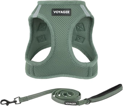 Best Pet Supplies Voyager Step-in Air All Weather Mesh Harness and Reflective Dog 5ft Leash Combo with Neoprene Handle, for Small, Medium and Large Breed Puppies - Set (Moss Green), X-Large
