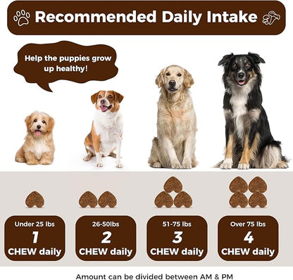 Turkey Tail Mushroom for Dogs, 170 Count Mushroom Chews for Dogs, Chicken Flavor Mushroom Supplements for Dogs, Immune Support, Joints Health, Skin & Coat, Lumps & Bumps Care Multivitamin