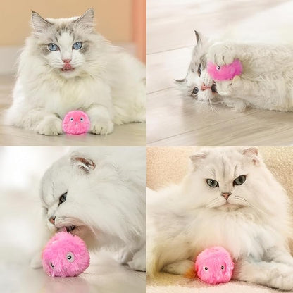 2 Pcs Cat Toy Ball, Speedy Sprint Balls and Chirping Ball, Cat Interactive Toy for Indoor, Kitty Kitten Catnip Exercise Toys