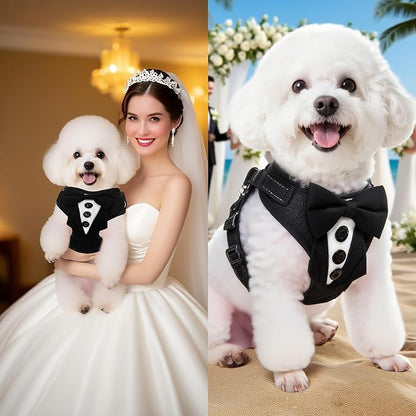 EXPAWLORER Dog Tuxedo Harness, Adjustable No Pull Pet Vest Harness with Leash Wedding Suit Attire with Bow Tie, Soft Padded Step-in Party Outfit Costume for Puppy Small Medium Dogs, Black XS