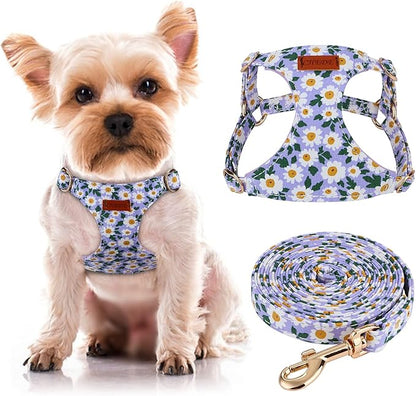 CHEDE No Pull Floral Pattern Dog Harness- Lightweight and Soft Harness, Adjustable Small Dog Harness and Leash Set, with Dog Leash, Suitable for Puppy Small and Medium-Sized Dog (XS, Purple Daisy)