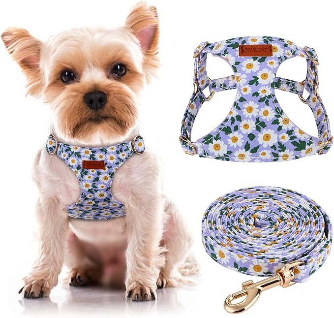CHEDE No Pull Floral Pattern Dog Harness- Lightweight and Soft Harness, Adjustable Small Dog Harness and Leash Set, with Dog Leash, Suitable for Puppy Small and Medium-Sized Dog
