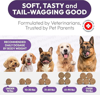 (2 Pack) Dog Multivitamin Chewable - 340 Chews - Dog Vitamins and Supplements with Glucosamine - Hip & Joint, Pet Immune Support, Gut & Heart Health - Senior & Puppy Multivitamin Pet Supplement