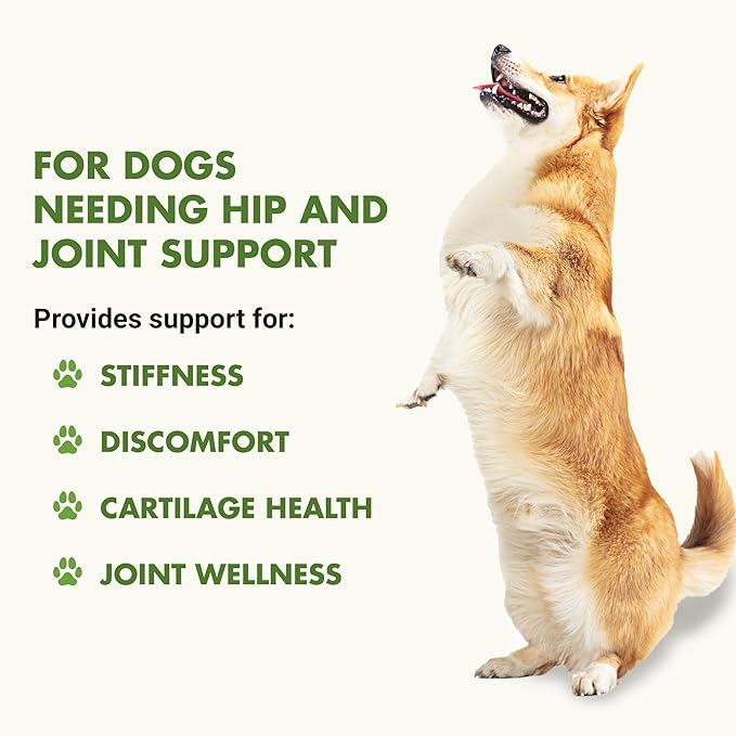 K9 Hip & Joint Advanced Formula, Pot Roast Flavor, 8 oz Trial Size Buy 1 Get 1 FREE