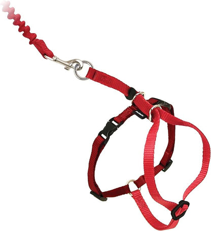 PetSafe Come With Me Kitty Cat Harness & Bungee Leash - Comfortable Cat Harness with Lightweight Bungee Leash for Outdoor Fun - More Secure Walks - Small - Red