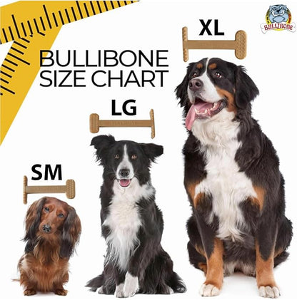 Bullibone Nylon Dog Chew Toy for Aggressive Chewers - Dental Hygiene Bone with Bacon Flavor, Durable Tough Chew Toys for Small Dogs, Indestructible Dog Bone - 2 Pack
