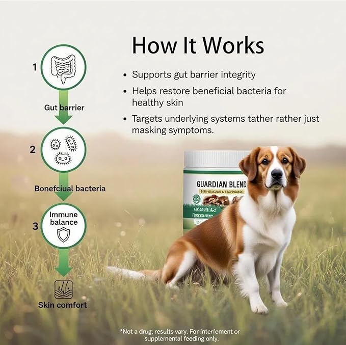 Guardian Blend – 11-Mushroom Daily Support Powder for Dogs | Promotes Healthy Skin, Coat & Immune Function | Natural Formula, Bacon Flavor, Mixes Easily with Food