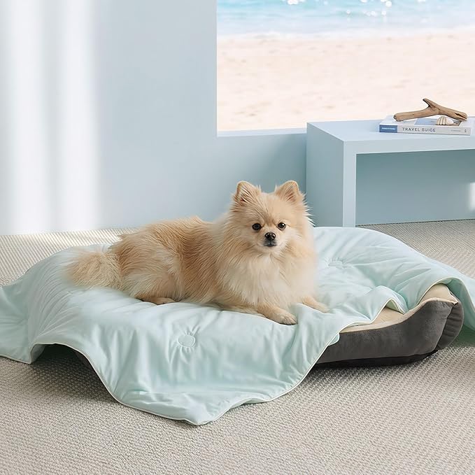 Soulbond Cooling Blanket for Medium Dogs - Q-MAX>0.45, Washable Cool Pet Cats Throw Blanket for Hot Weather, Self-Cooling Soft Dog Mat for Bed Crates Couch Sofa Cars(29"x40", Mint Green)