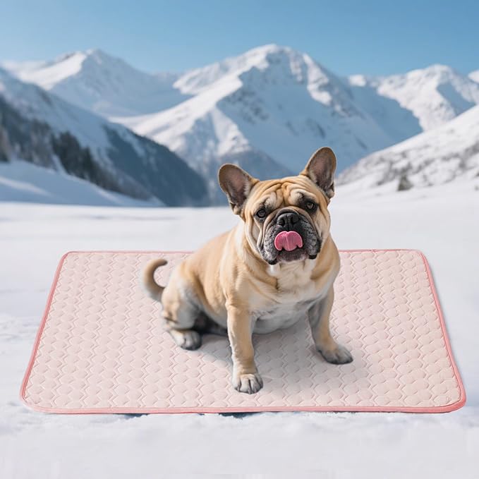 Soulbond Cooling Mat for Medium Dogs - 29"x40" Washable Cooling Pad for Dogs & Cats, QMAX>0.3, Anti-Slip Bottom, Portable Summer Cool Pet Bed Pad for Outdoor/Indoor/Cars/Travel Use, Pink