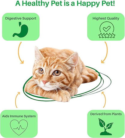 Dr. Goodpet Feline Digestive Enzymes with Probiotics & Prebiotics – Daily Digestive Support Powder for Cats – Promotes Cat Digestion, Nutrient Absorption & Healthy Stool – Vegan