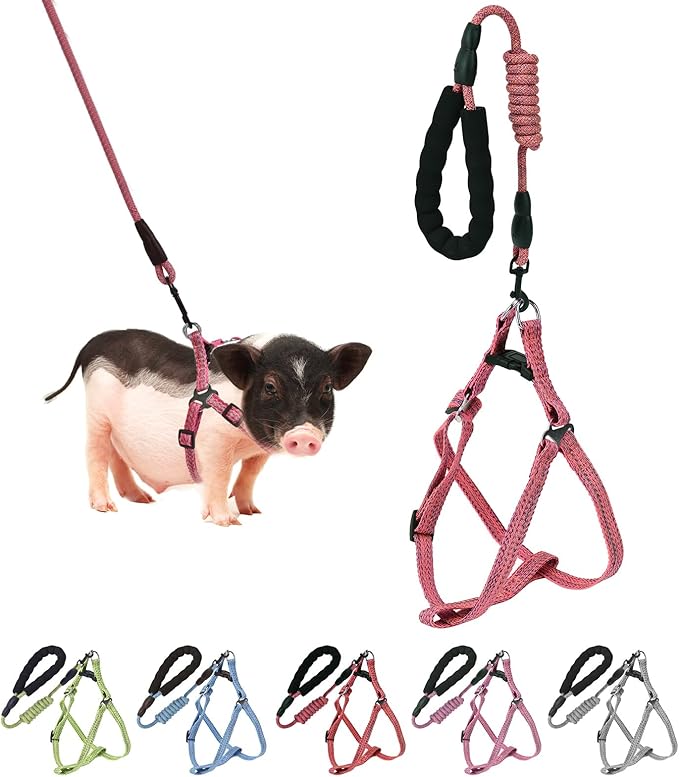 Mini Pig Harness, Adjustable Small Pig Harness with Leash Infinity Style Lead and Soft Foam Handle for Small to Medium Pet Pigs Walking Training Jogging (Red, S)