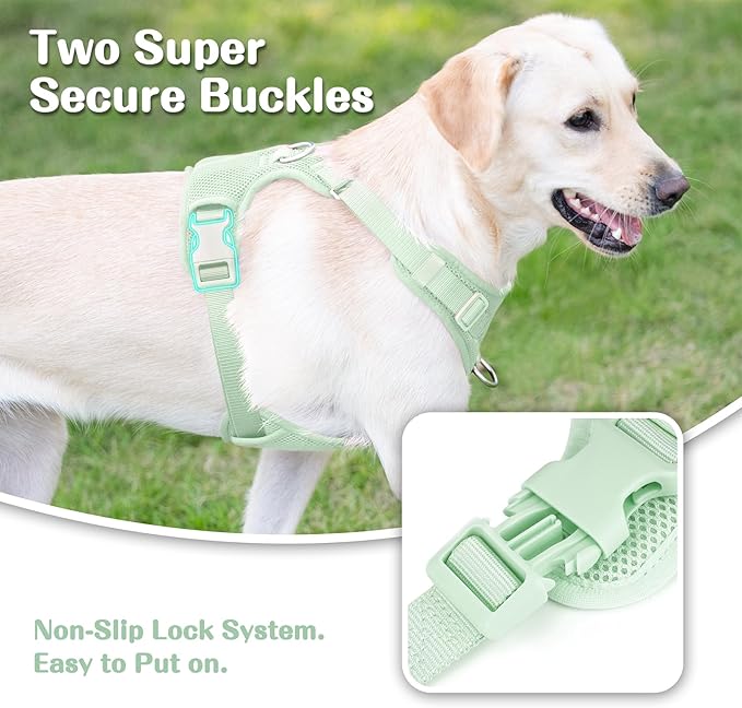 No Pull Dog Harness for Small Medium Large Dogs - Adjustable 2 Layer Mesh Dog Vest with Dual Clip, Escape Proof, Quick Release, Lightweight Breathable Mesh for Walking Hiking (Light Green,XS)