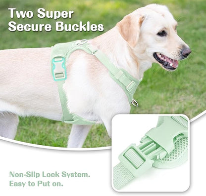 No Pull Dog Harness for Small Medium Large Dogs - Adjustable 2 Layer Mesh Dog Vest with Dual Clip, Escape Proof, Quick Release, Lightweight Breathable Mesh for Walking Hiking (Light Green,M)