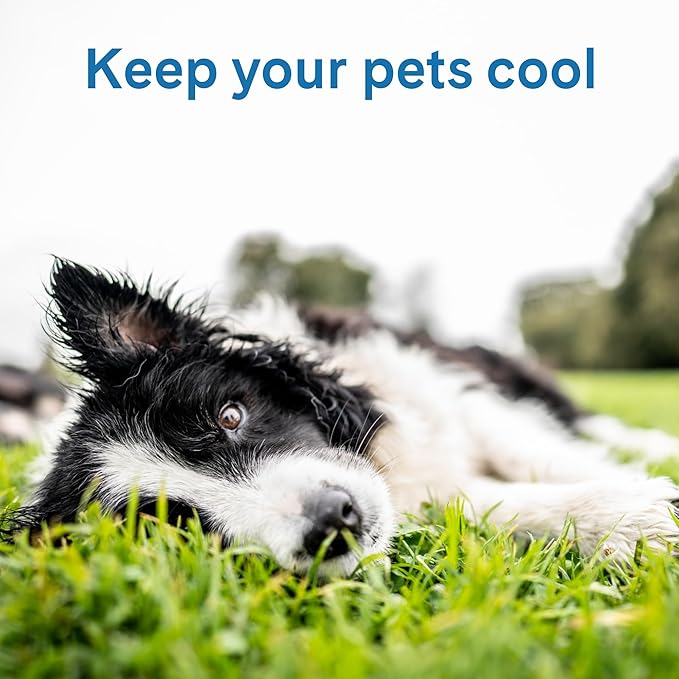The Green Pet Shop Cool Pet Pad - Large, Latte- Self-Cooling, Pressure Activated Mat for Dogs & Cats from 46-80 lbs - Non-Toxic Gel, No Water Needed