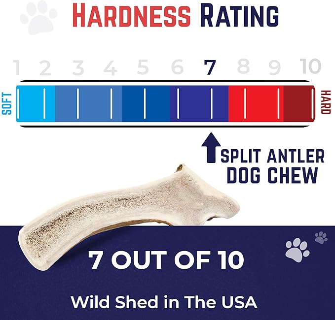 Devil Dog Pet Co - Split Elk Antler for Dogs Small 2 Pack - Exposed Marrow Chew for Puppies & Moderate Chewers - Naturally Shed Grade A Rocky Mountain Elk, Anxiety & Boredom Relief (Up to 15 lbs)
