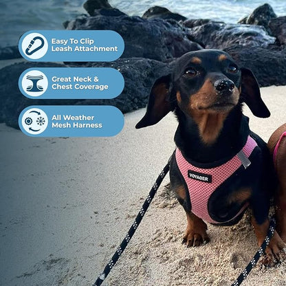 Best Pet Supplies Voyager Step-in Air All Weather Mesh Harness and Reflective Dog 5ft Leash Combo with Neoprene Handle, for Small, Medium and Large Breed Puppies - Set (Pink Base), X-Large