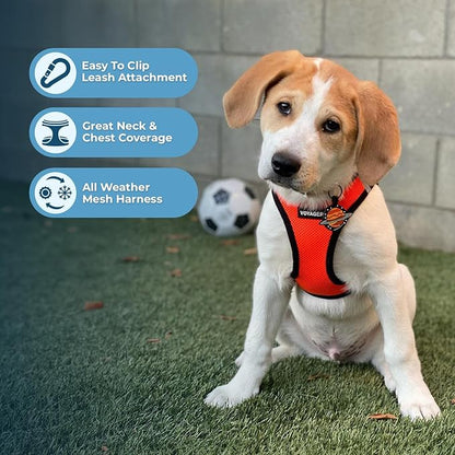 Best Pet Supplies Voyager Step-in Air All Weather Mesh Harness and Reflective Dog 5ft Leash Combo with Neoprene Handle, for Small, Medium and Large Breed Puppies - Set (Orange/Black Trim), X-Small
