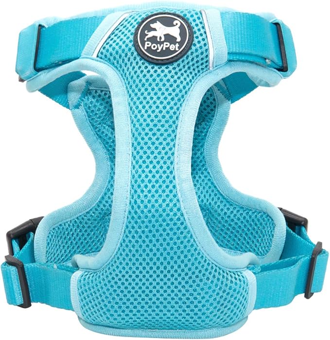 PoyPet Reflective Soft Breathable Mesh Dog Harness No Choke Double Padded Vest Adjustable(Light Blue,XS)