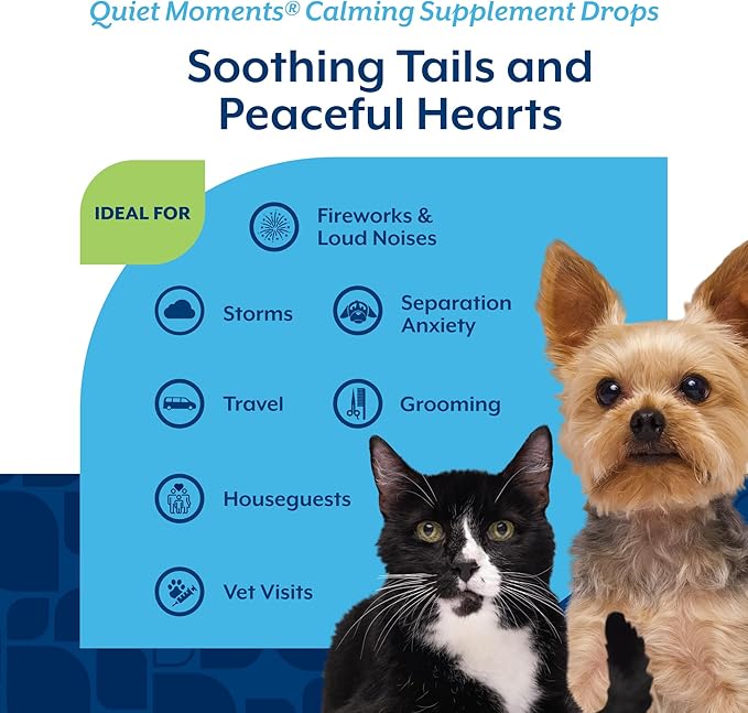 NaturVet Quiet Moments Calming Drops for Cats & Dogs – Helps Reduce Pet Stress, Promotes Relaxation – Dog Supplement, Cat Supplement Includes L-Tryptophan, Ginger, Chamomile – 2 Oz.
