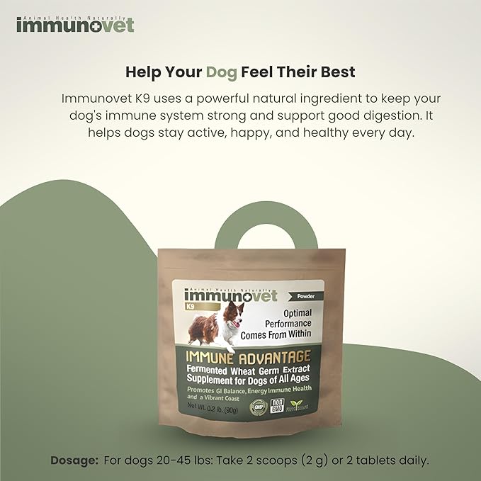 Plant-Based Dog Supplement Powder | Fermented Wheat Germ Extract | Boosts Immunity, Gut Health & Energy | Natural Pet Supplement for All Dog Ages | Non-GMO, Vet Trusted, Safe Formula- 90g