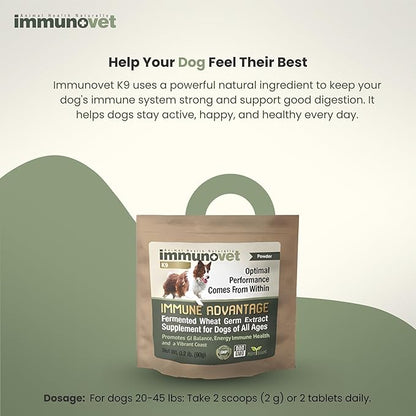 Plant-Based Dog Supplement Powder | Fermented Wheat Germ Extract | Boosts Immunity, Gut Health & Energy | Natural Pet Supplement for All Dog Ages | Non-GMO, Vet Trusted, Safe Formula- 90g