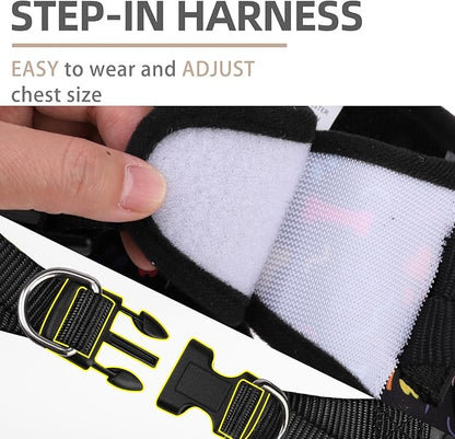 PUPTECK Dog Harness and Leash Set for Small Medium Dogs No Pull Step-in Soft Mesh Puppy Cat Vest Harnesses Reflective at Night, Black Paw, L