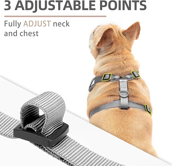 PUPTECK Small Dog Harness and Leash Set, No Pull Adjustable Puppy Cat Harness, Reflective Soft Mesh Pet Vest Small Sized, Grey, M
