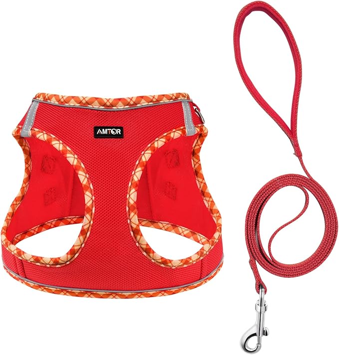 AMTOR Small Dog Harness with Leash Set, No Escape Easy Walk Puppy Harnesses for Training Walking, Step-in Reflective Soft Dogs Vest for XS S Medium Extra-Small Large Sized Dog(Red,XL)