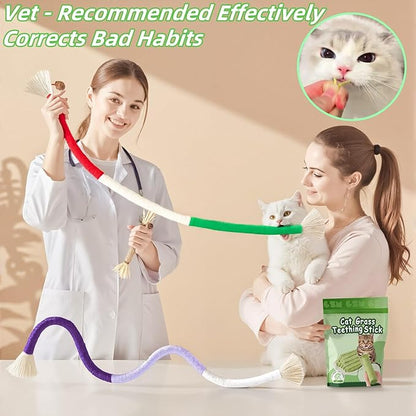 Cat Toys 24Pack Cats Grass Treat Catnip Toy with Silvervine for Indoor Kitten Toys Wood Kitty Chew Rope Grass Sticks for Teeth Cleaning Kitten Snack for Catnip Dental Care Self Play