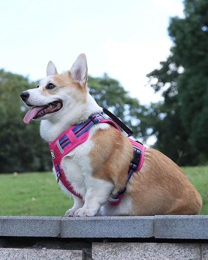 No Pull Dog Harness with Easy Control Soft Handle for Small Medium Large Dogs,Reflective Adjustable Puppy Harness,Heavy Duty Girl Boy Pet Vest with Safety Buckle (Pink, S)
