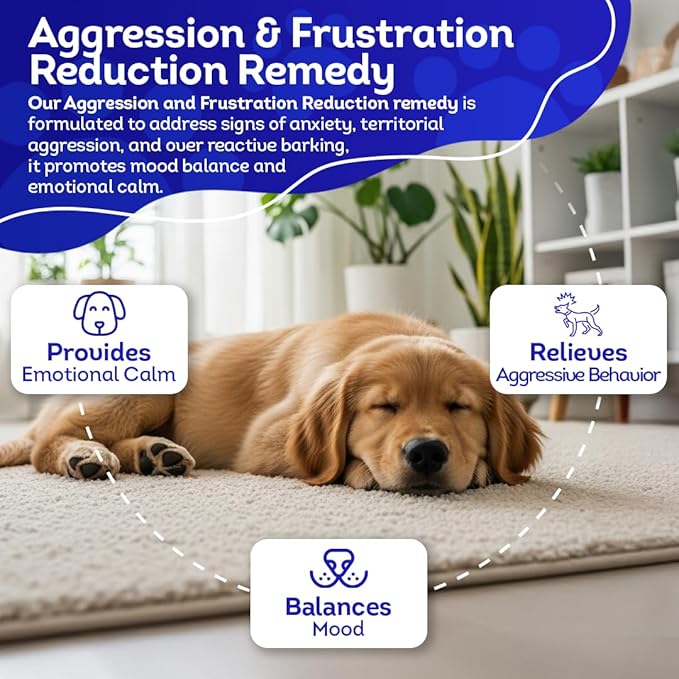 HA4E - Calming Tablets for Stressed and Aggressive Dogs - Reduce Dog Aggression & Promote Relaxation - All-Natural, Homeopathic Remedy - Tablets, Kennel Size (Extra Large)