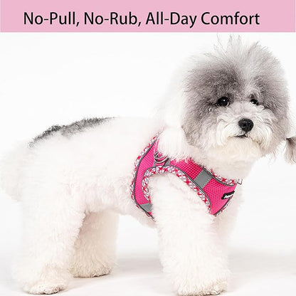 Petank Dog Harness for Small Medium Dogs No Pull, Puppy Harness and Leash Set for Walking, Running, Training, Small Dog Harness, Medium Dog Harness (Rose Red, L)