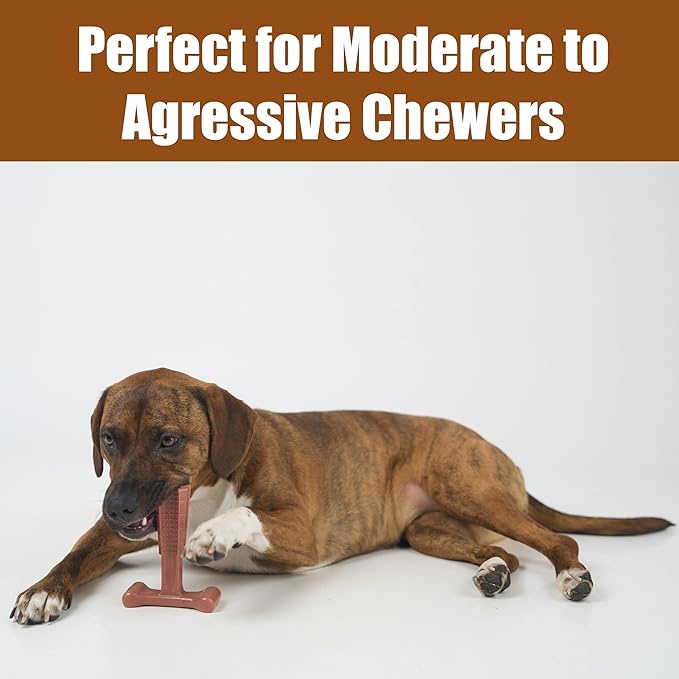 SPOT Bam-Bones Plus Coffee Wood T-Bone Dog Chew Toy, Beef Flavor, Nylon and Coffee Wood Fiber Blend, Durable Chew for Heavy Chewers and Dogs Under 60 lbs, Non-Splintering Dental Chew, 6 Inch