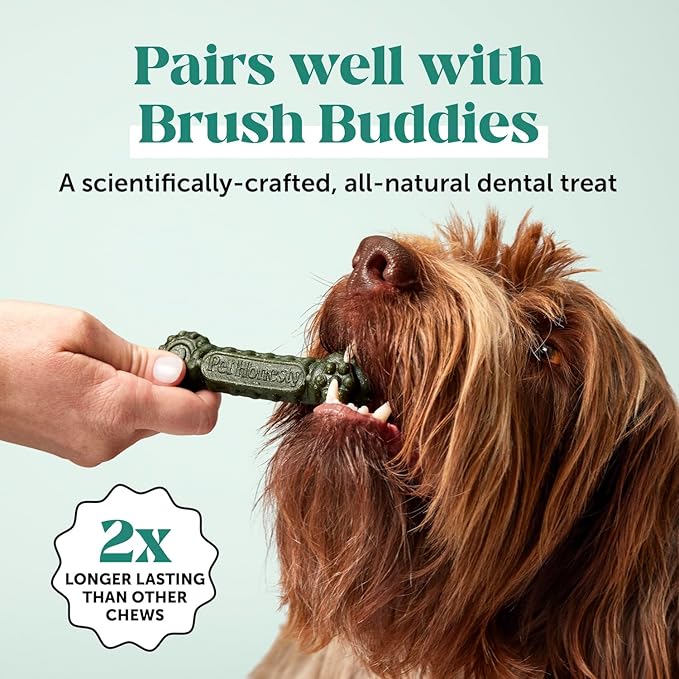 Dog Breath Freshener Dental Powder for Teeth Cleaning Plaque Off, Dental Care for Large Dogs, Tartar Remover for Teeth with Natural Herbal Blend + Postbiotics (Mint - 60 Servings)