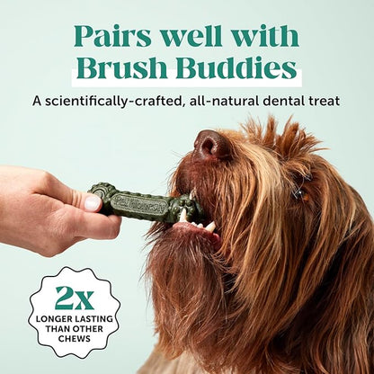 Dog Breath Freshener Dental Powder for Teeth Cleaning Plaque Off, Dental Care for Large Dogs, Tartar Remover for Teeth with Natural Herbal Blend + Postbiotics (Mint - 60 Servings)
