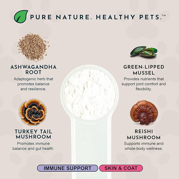 Animal Essentials Immuno-Thrive Wellness Powder for Dogs & Cats - All Natural Immune Support for Pets, Mushroom Blend, Promotes Healthy Skin & Coat, Life Extension Antioxidant Formula - 5.3 oz