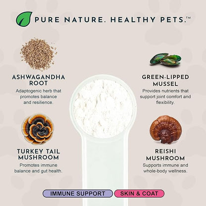 Animal Essentials Immuno-Thrive Wellness Powder for Dogs & Cats - All Natural Immune Support for Pets, Mushroom Blend, Promotes Healthy Skin & Coat, Life Extension Antioxidant Formula - 5.3 oz