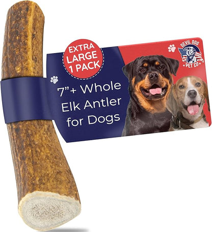 Devil Dog Pet Co - Elk Antler for Dogs Extra Large - Long Lasting Natural Dog Chew for Power Chewers & Large Breeds - Naturally Shed Grade A Rocky Mountain Elk, Anxiety & Boredom Relief (55-75 lbs)