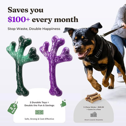 Frienhund 2 Pack Indestructible Dog Chew Toys for Aggressive Chewers - XL Textured Cactus with Grooves for Peanut Butter & Yogurt, Beef Nylon Bones for Large Dogs 20-90 lbs, Easy Chew & Long Lasting