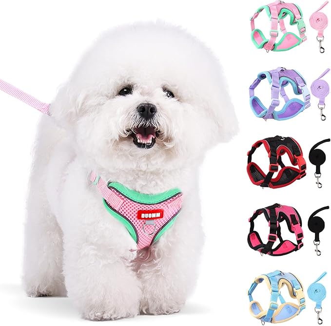 Coppthinktu Dog Harness with Leash Set for Small Sized Dogs Cats, No Pull Dog Harness Soft Mesh Cat Puppy Harness, Adjustable Reflective Step-in Pet Vest Harnesses for Outdoor Walking Training