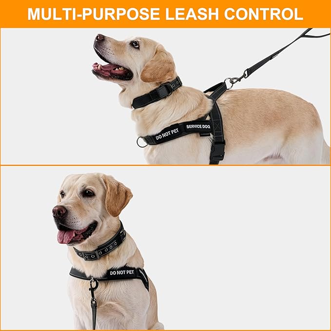 Annchwool No Pull Dog Harness,Heavy Duty Reflective Collar & Leash Set-Dog Leash with Double Handle & Car Seatbelt Clip-Easy Control for Walking Training Medium Large Size Dogs(Black,S)