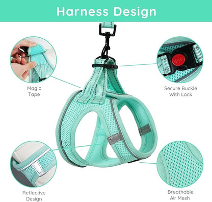 BELLA & PAL Step in Vest Harness for Small and Medium Dogs, No Pull Small Dog Harness with Leash Set, Comfortable Air Mesh Dog Vest Harness with Reflective Strip (Light Green, XS)