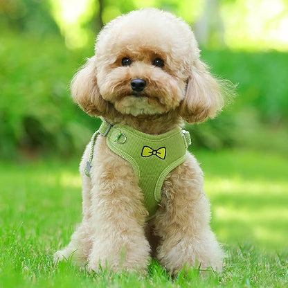 No Pull Dog Harness with Leash Pet Soft Vest Harness and Leash Set Dog Cat No Choke Escape Proof Harness Reflective Step in Harness for Small Medium Dogs Cats(Pastel Green, Large)