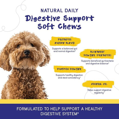 PupGrade Digestive Support for Dogs - Prebiotic + Probiotic Supplement with Enzyme Blend - Gut and Immune Support - Pumpkin, Blueberry, Mineral Oil, Duck Flavor - 60 Soft Chews