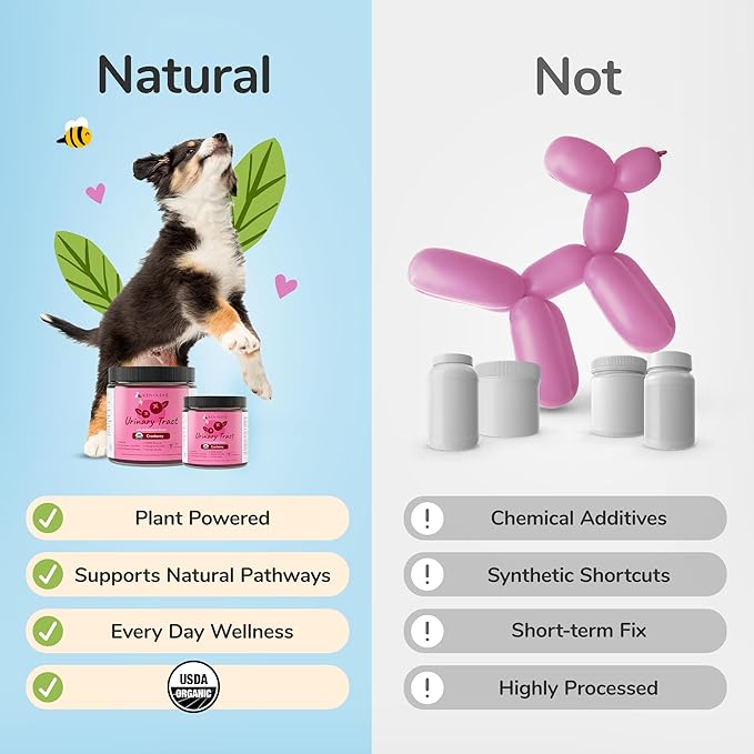 kin+kind Pet Vitamins and Supplements - Immune Support Supplement for Dogs & Cats - Natural Dog Supplements & Cat Supplements w/Organic Ingredients for Healthy Immunity - Made in USA - 4 oz (Medium)